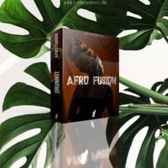 AFRO FUSION DRUMKIT